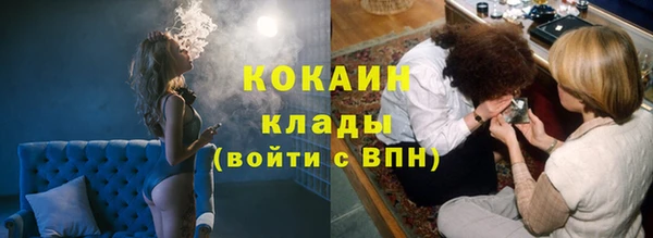 крисы Кинешма