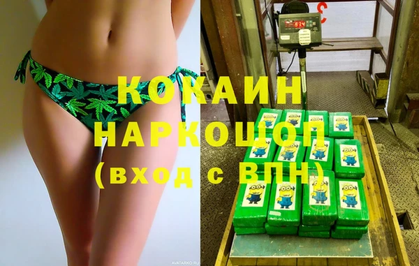 шишки Кущёвская
