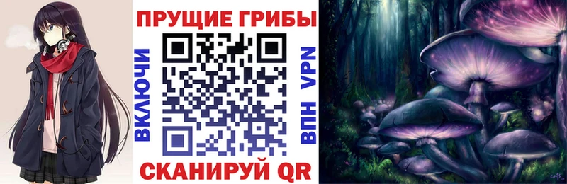 Купить закладки  Джанкой  Галлюциногенные грибы Psilocybine cubensis 