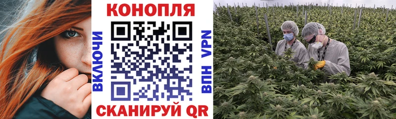 Бошки марихуана семена  Купить закладки  Джанкой 